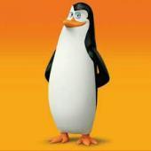 kowalski_penguin